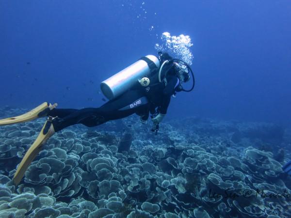 江西省地质局两家单位获评中国地调局地质调查工作2023年度进展突出单位