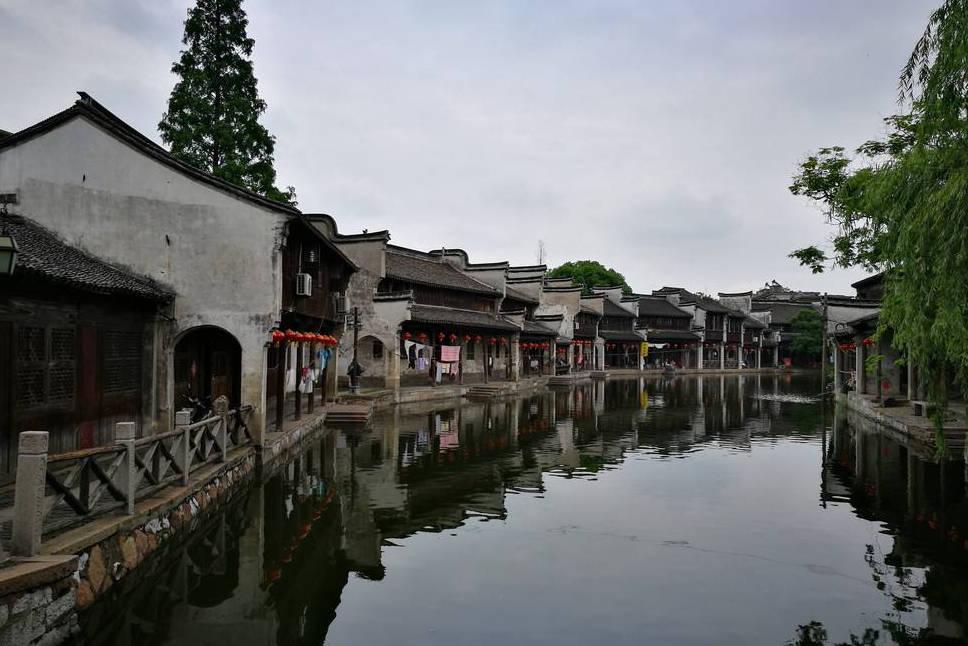 逃离金色蜜蜂森林